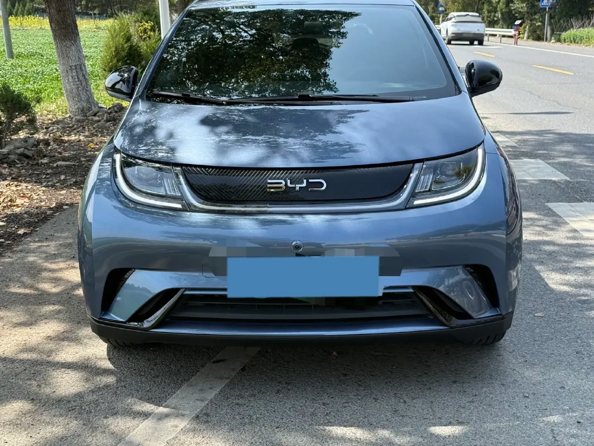 2024 BYD Dolphin BEV 44.928KWH,autocango,china used car exporter,china ev exporter,chinese used car exporter,chinese used ev exporter