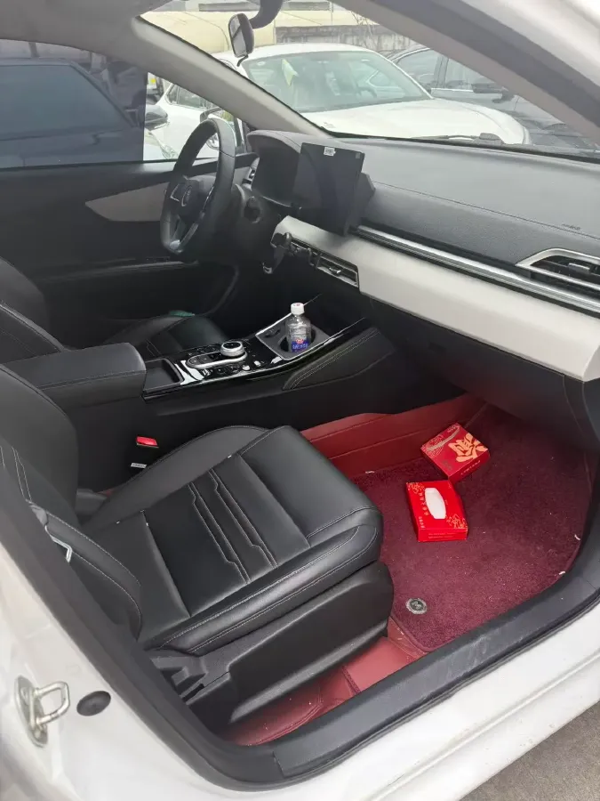 2021 BYD Qin BEV 53.56KWH,autocango,china used car exporter,china ev exporter,chinese used car exporter,chinese used ev exporter