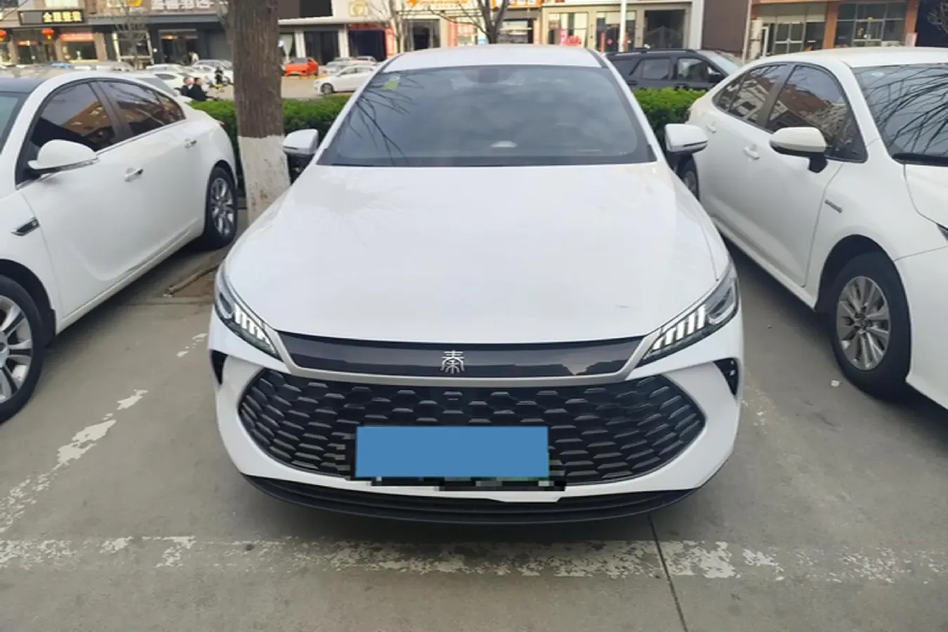 2025 BYD Qin Plus 1.5L 101HP L4 E-CVT PHEV 7.68KWH,autocango,china used car exporter,china ev exporter,chinese used car exporter,chinese used ev exporter