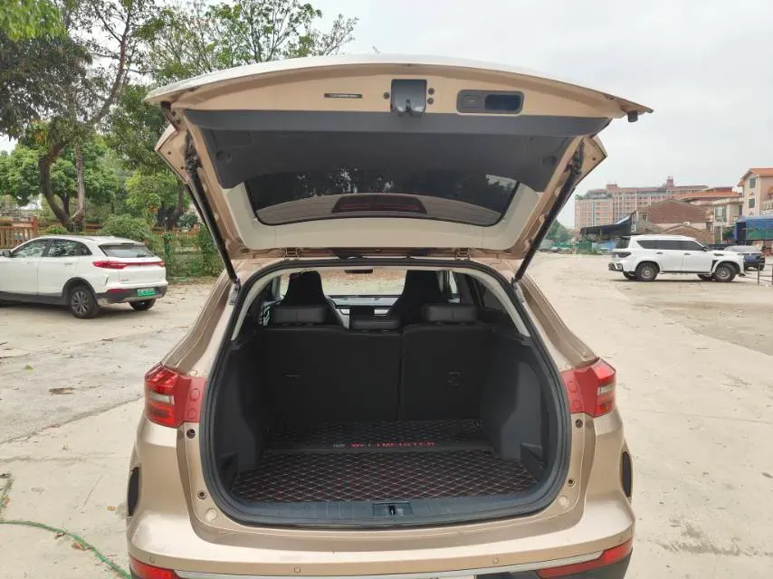 2019 Weltmeister EX5 BEV 69KWH,autocango,china used car exporter,china ev exporter,chinese used car exporter,chinese used ev exporter