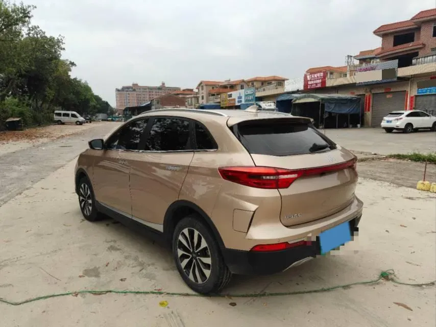 2019 Weltmeister EX5 BEV 69KWH,autocango,china used car exporter,china ev exporter,chinese used car exporter,chinese used ev exporter