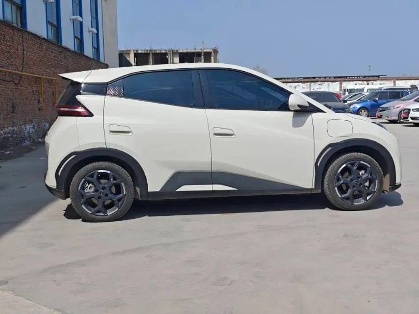 2025 BYD Seagull BEV 38.88KWH,autocango,china used car exporter,china ev exporter,chinese used car exporter,chinese used ev exporter