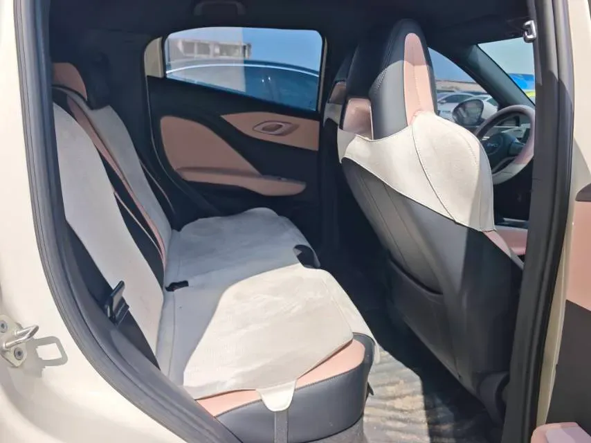 2025 BYD Seagull BEV 38.88KWH,autocango,china used car exporter,china ev exporter,chinese used car exporter,chinese used ev exporter