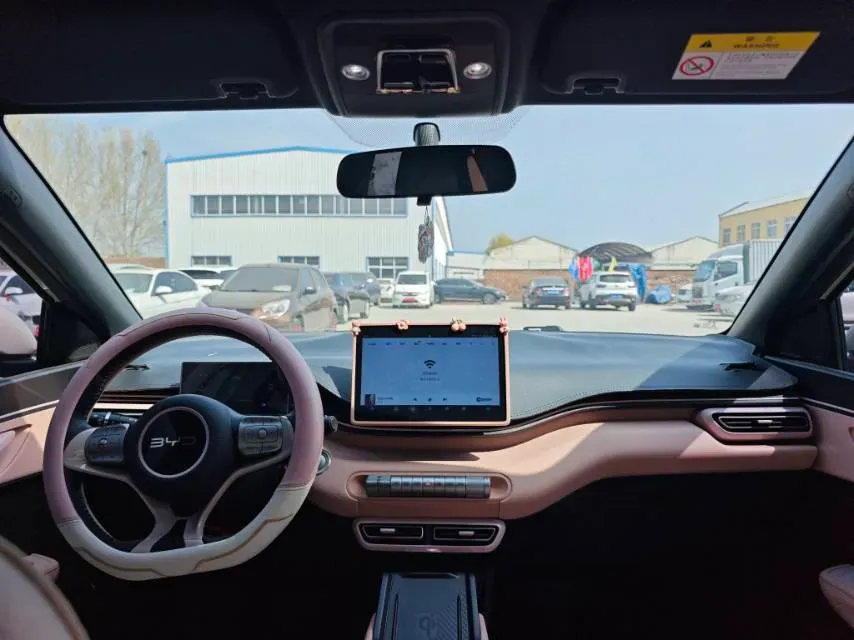 2025 BYD Seagull BEV 38.88KWH,autocango,china used car exporter,china ev exporter,chinese used car exporter,chinese used ev exporter