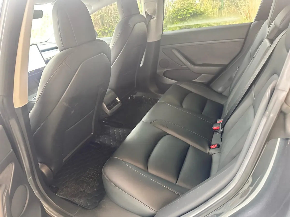 2021 Tesla Model 3 BEV 55KWH,autocango,china used car exporter,china ev exporter,chinese used car exporter,chinese used ev exporter