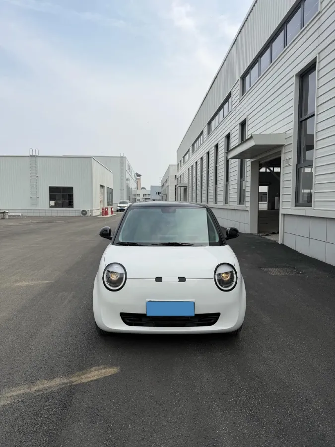 2023 ChangAn QiYuan Lumin BEV 17.65KWH,autocango,china used car exporter,china ev exporter,chinese used car exporter,chinese used ev exporter