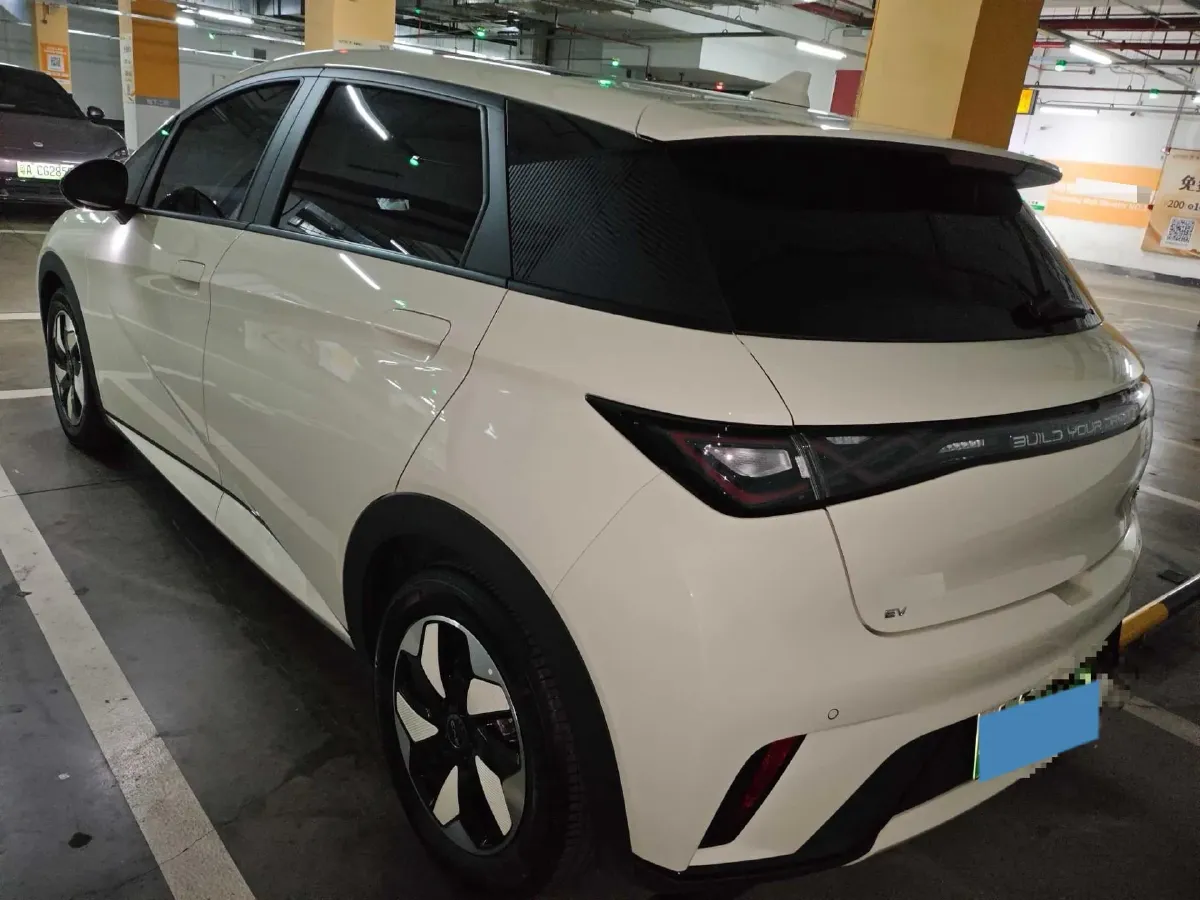2024 BYD Dolphin BEV 44.928KWH,autocango,china used car exporter,china ev exporter,chinese used car exporter,chinese used ev exporter