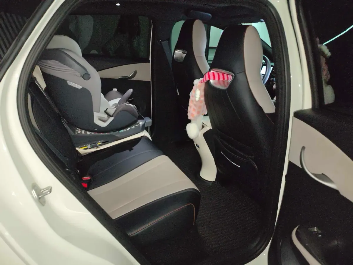 2024 BYD Dolphin BEV 44.928KWH,autocango,china used car exporter,china ev exporter,chinese used car exporter,chinese used ev exporter