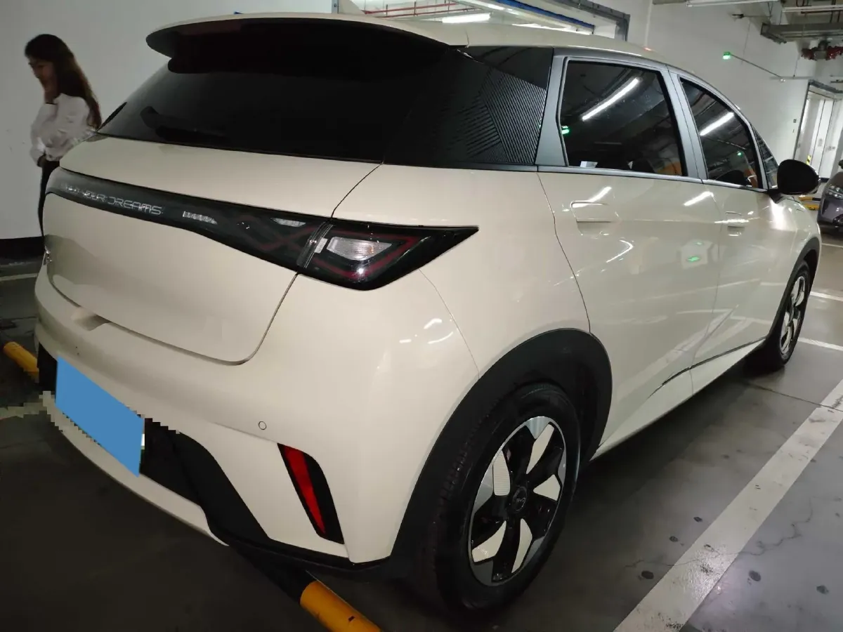 2024 BYD Dolphin BEV 44.928KWH,autocango,china used car exporter,china ev exporter,chinese used car exporter,chinese used ev exporter