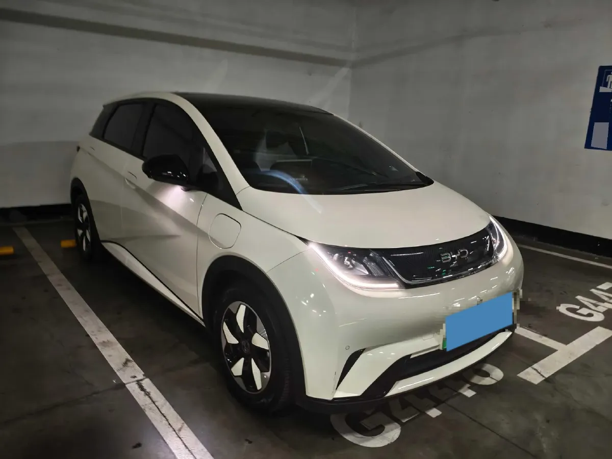 2024 BYD Dolphin BEV 44.928KWH,autocango,china used car exporter,china ev exporter,chinese used car exporter,chinese used ev exporter