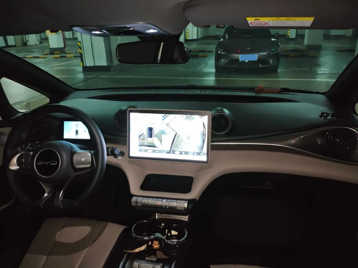 2024 BYD Dolphin BEV 44.928KWH,autocango,china used car exporter,china ev exporter,chinese used car exporter,chinese used ev exporter