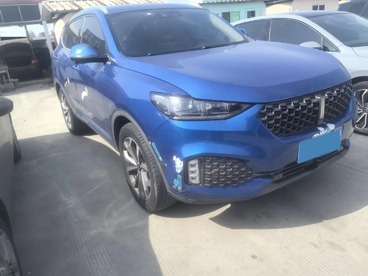 2020 WEY VV6 2.0T 227HP L4 7DCT,autocango,china used car exporter,china ev exporter,chinese used car exporter,chinese used ev exporter