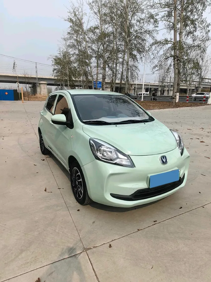 2022 ChangAn BenBen E-Star BEV 31.95KWH,autocango,china used car exporter,china ev exporter,chinese used car exporter,chinese used ev exporter