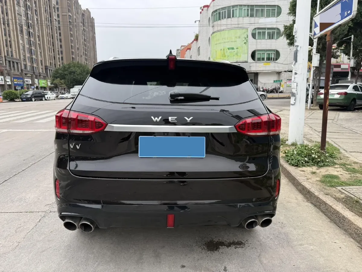 2020 WEY VV6 2.0T 227HP L4 7DCT,autocango,china used car exporter,china ev exporter,chinese used car exporter,chinese used ev exporter