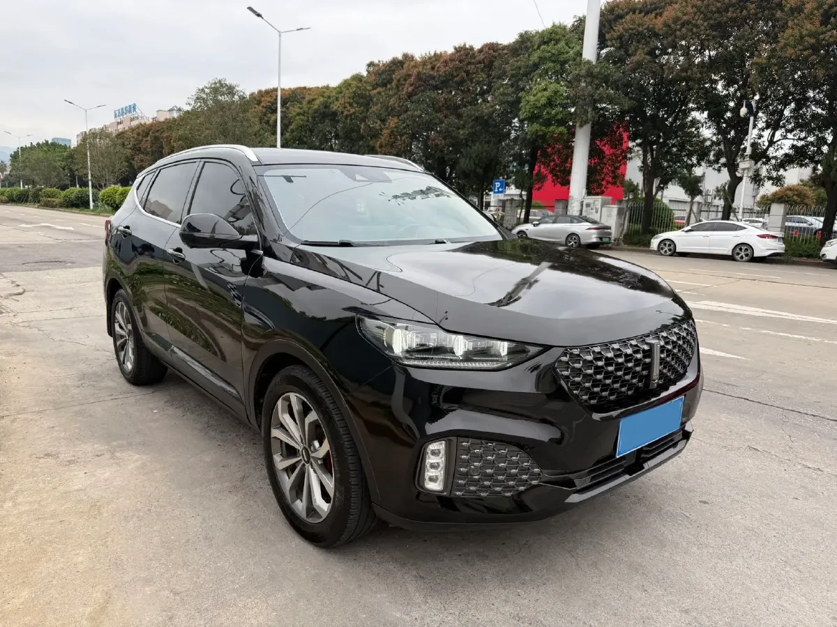 2020 WEY VV6 2.0T 227HP L4 7DCT,autocango,china used car exporter,china ev exporter,chinese used car exporter,chinese used ev exporter