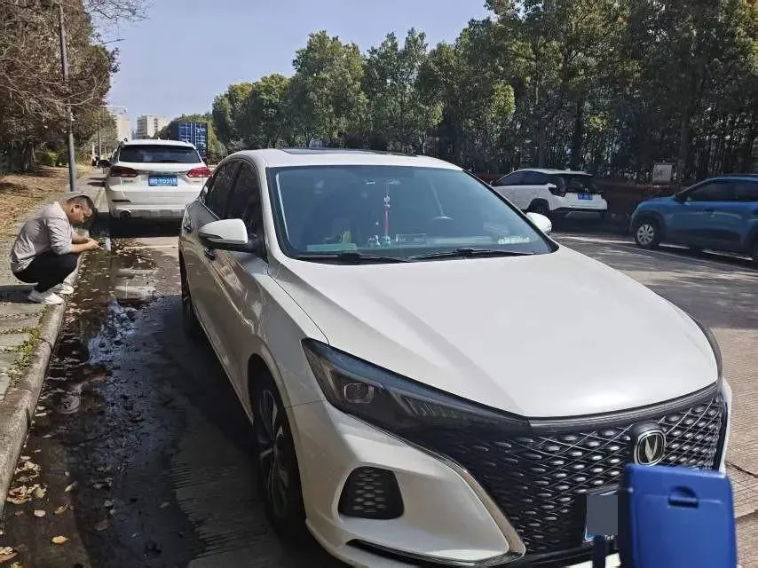2020 ChangAn Eado 1.4T 158HP L4 7DCT,autocango,china used car exporter,china ev exporter,chinese used car exporter,chinese used ev exporter