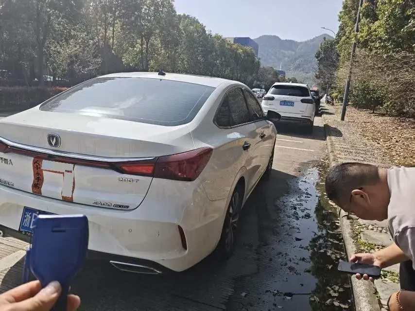 2020 ChangAn Eado 1.4T 158HP L4 7DCT,autocango,china used car exporter,china ev exporter,chinese used car exporter,chinese used ev exporter