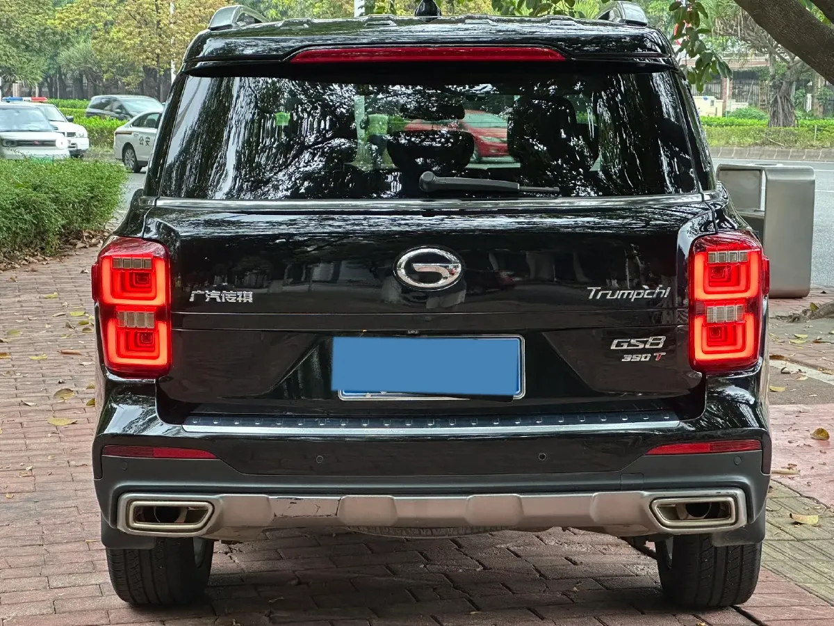 2020 GAC Trumpchi GS8 2.0T 252HP L4 6AT,autocango,china used car exporter,china ev exporter,chinese used car exporter,chinese used ev exporter