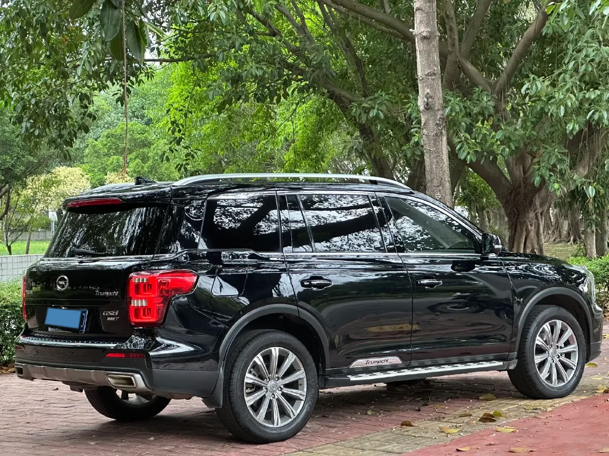 2020 GAC Trumpchi GS8 2.0T 252HP L4 6AT,autocango,china used car exporter,china ev exporter,chinese used car exporter,chinese used ev exporter