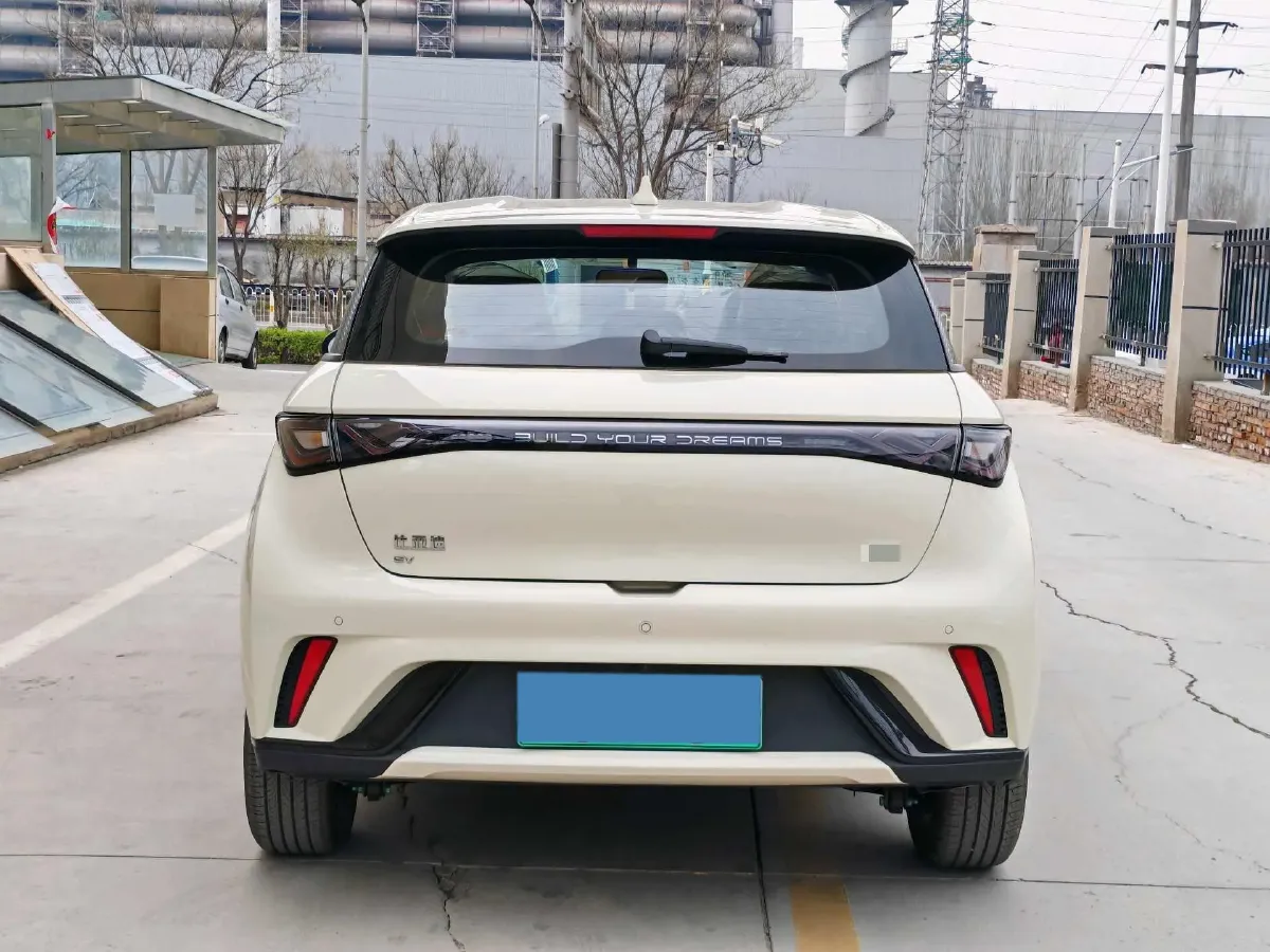 2025 BYD Dolphin BEV 44.928KWH,autocango,china used car exporter,china ev exporter,chinese used car exporter,chinese used ev exporter