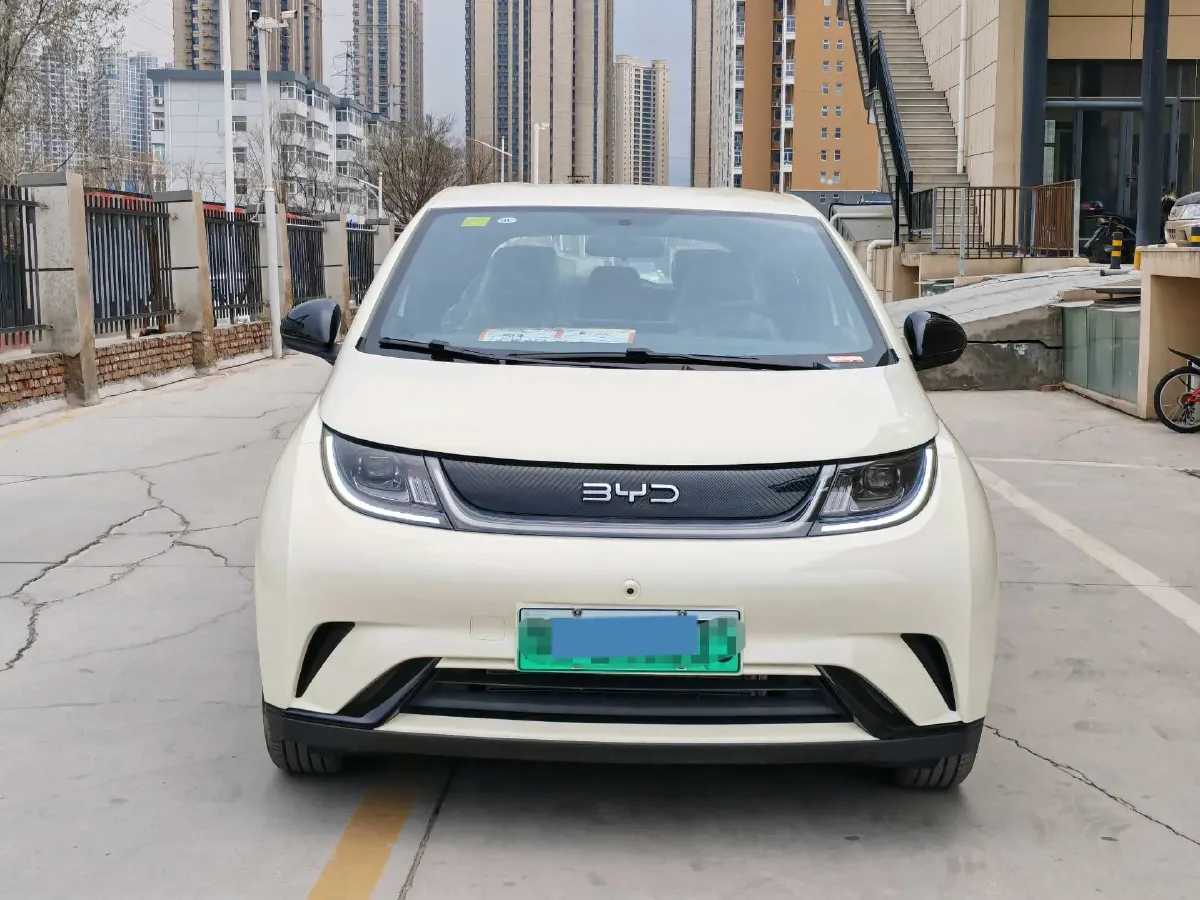 2025 BYD Dolphin BEV 44.928KWH,autocango,china used car exporter,china ev exporter,chinese used car exporter,chinese used ev exporter