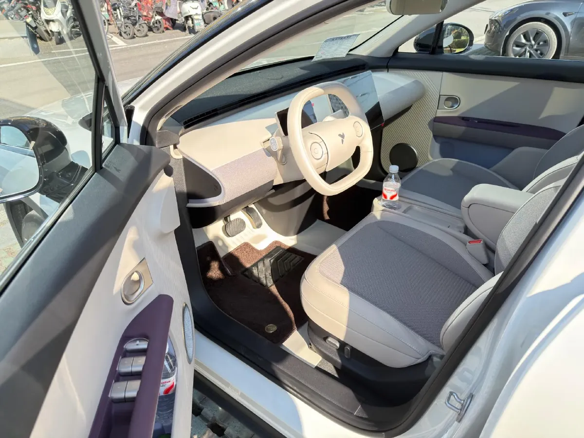 2025 Firefly Firefly BEV,autocango,china used car exporter,china ev exporter,chinese used car exporter,chinese used ev exporter