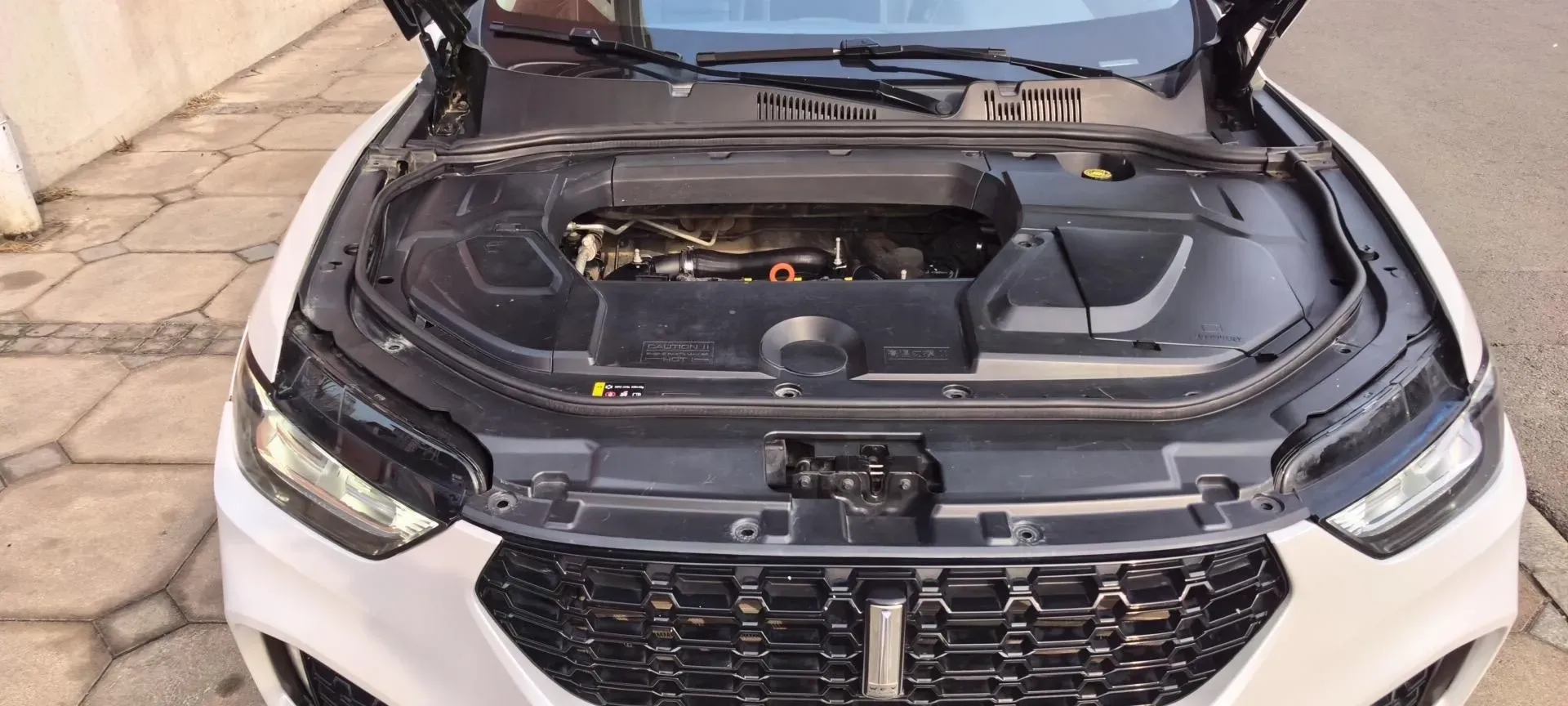 2019 WEY VV5 1.5T 169HP L4 7DCT,autocango,china used car exporter,china ev exporter,chinese used car exporter,chinese used ev exporter