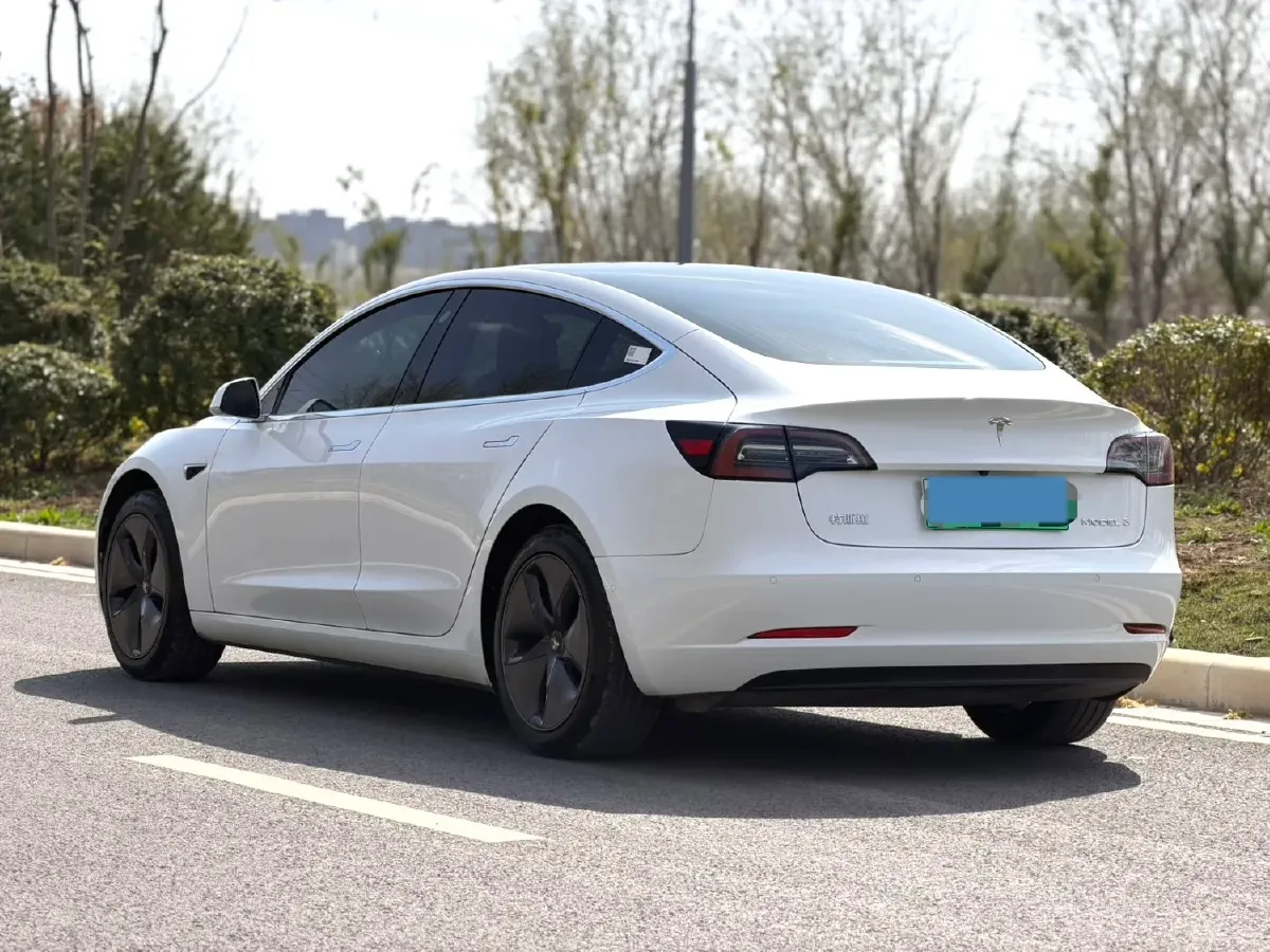2020 Tesla Model 3 BEV 55KWH,autocango,china used car exporter,china ev exporter,chinese used car exporter,chinese used ev exporter