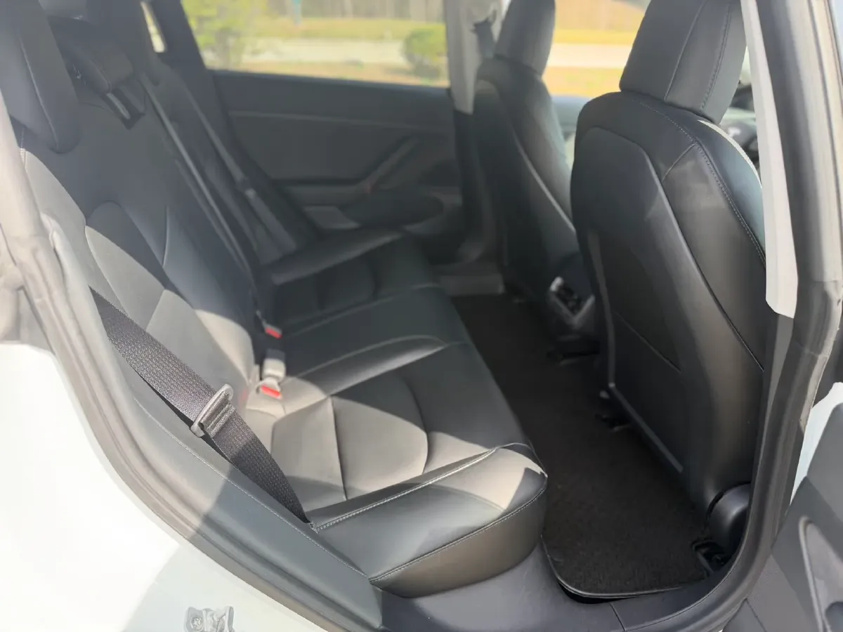 2020 Tesla Model 3 BEV 55KWH,autocango,china used car exporter,china ev exporter,chinese used car exporter,chinese used ev exporter