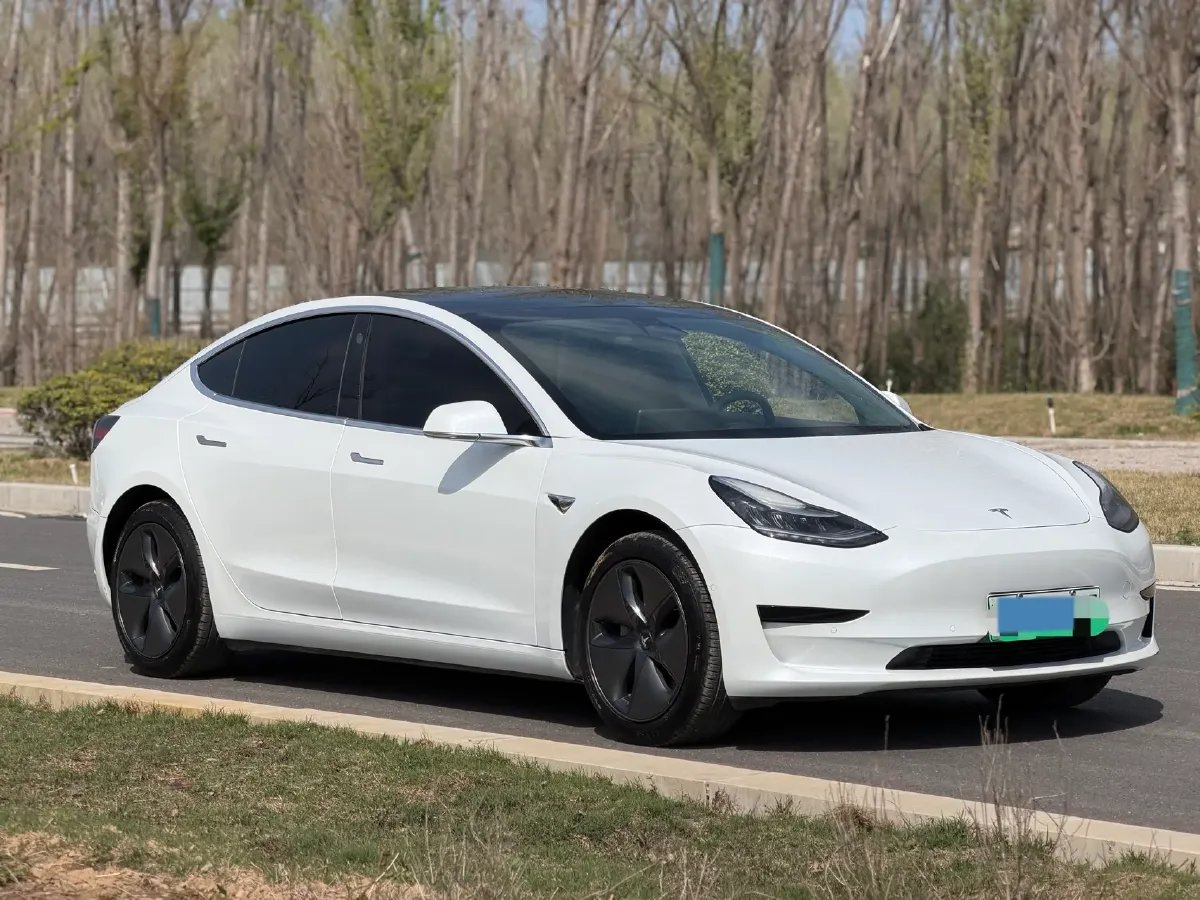 2020 Tesla Model 3 BEV 55KWH,autocango,china used car exporter,china ev exporter,chinese used car exporter,chinese used ev exporter