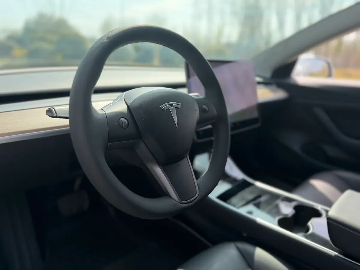 2020 Tesla Model 3 BEV 55KWH,autocango,china used car exporter,china ev exporter,chinese used car exporter,chinese used ev exporter