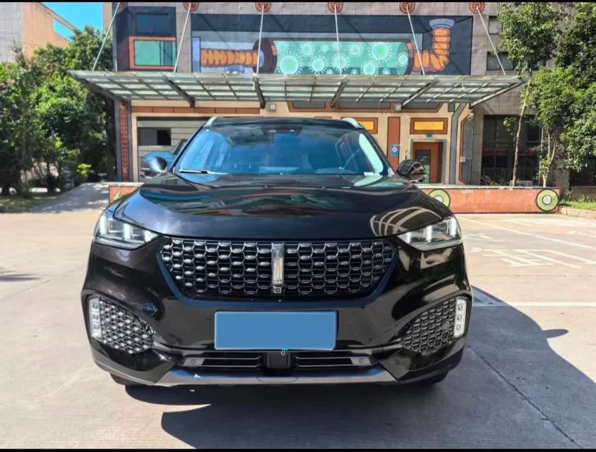 2020 WEY VV6 2.0T 227HP L4 7DCT,autocango,china used car exporter,china ev exporter,chinese used car exporter,chinese used ev exporter
