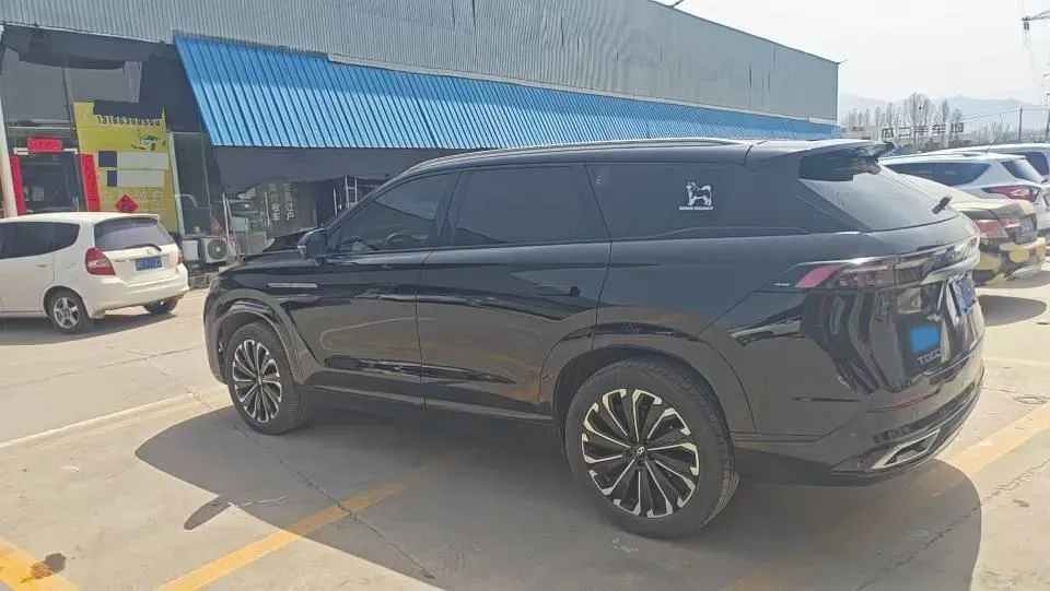 2023 Chery Tiggo 9 2.0T 261HP L4 8AT,autocango,china used car exporter,china ev exporter,chinese used car exporter,chinese used ev exporter