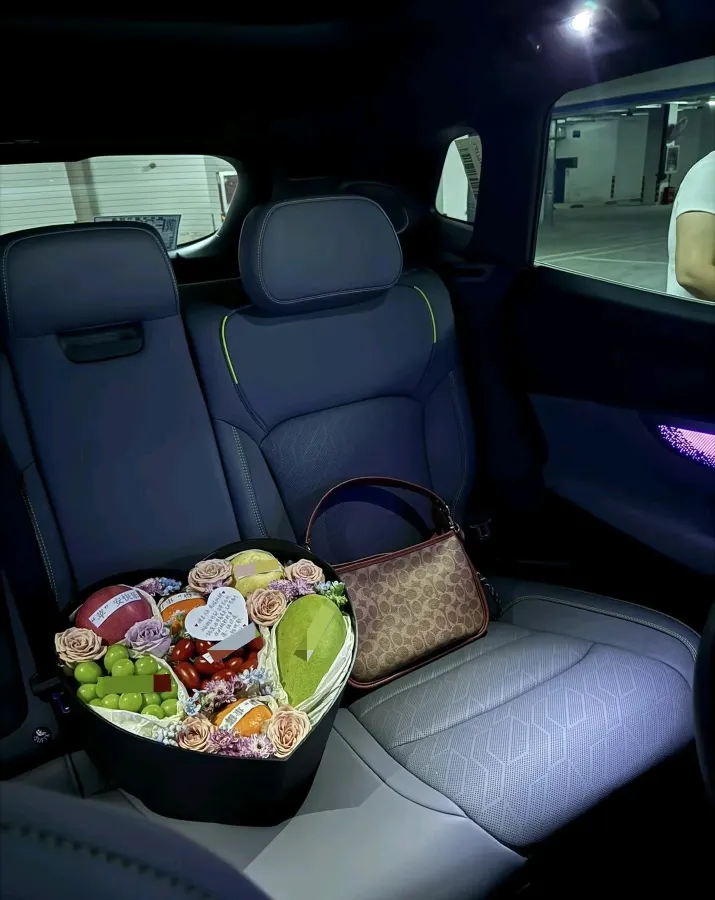 2025 LYNK&CO 08 EM-P 1.5T 163HP L4 3DHT PHEV 21.2KWH,autocango,china used car exporter,china ev exporter,chinese used car exporter,chinese used ev exporter