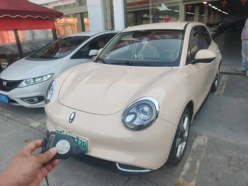2023 Ora FunkyCat BEV 47.8KWH,autocango,china used car exporter,china ev exporter,chinese used car exporter,chinese used ev exporter
