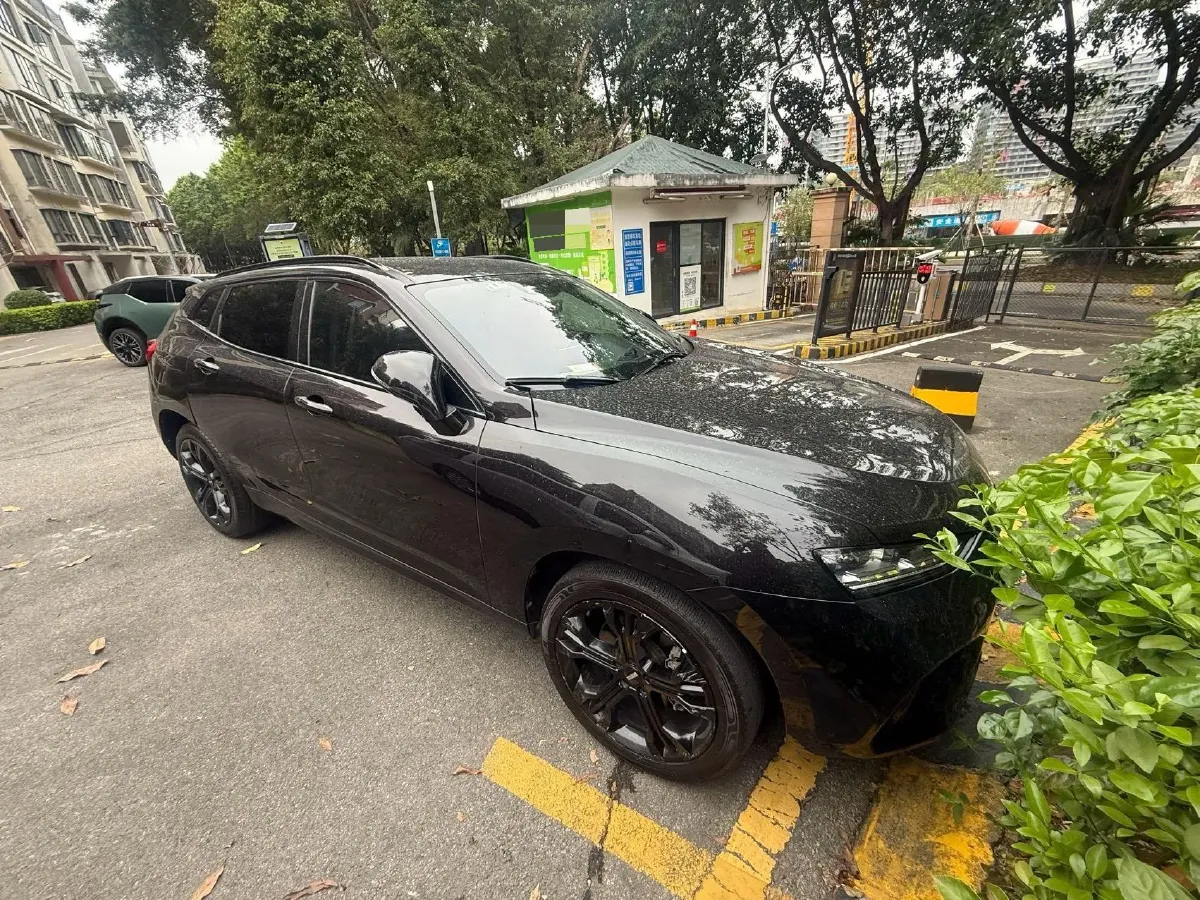 2017 WEY VV7 2.0T 234HP L4 7DCT,autocango,china used car exporter,china ev exporter,chinese used car exporter,chinese used ev exporter