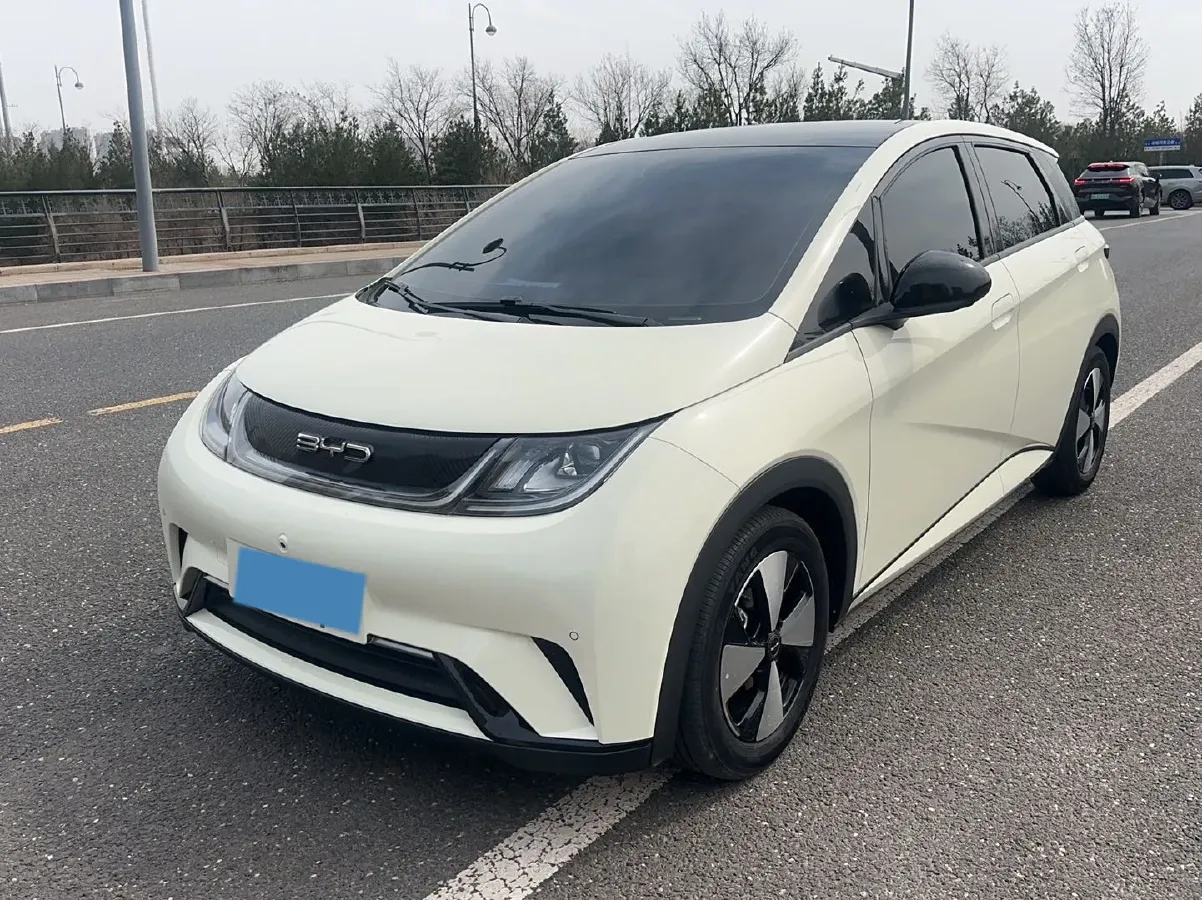 2023 BYD Dolphin BEV 44.928KWH,autocango,china used car exporter,china ev exporter,chinese used car exporter,chinese used ev exporter