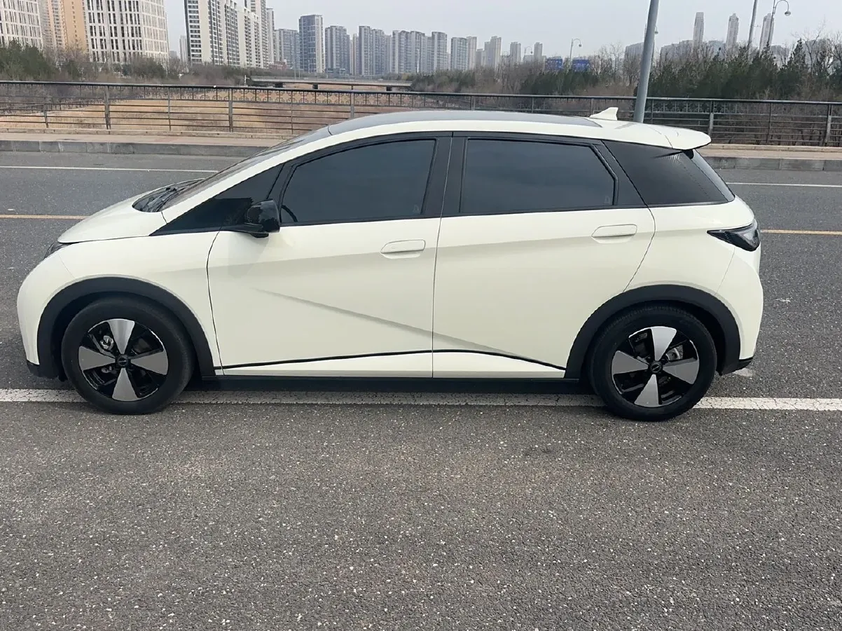 2023 BYD Dolphin BEV 44.928KWH,autocango,china used car exporter,china ev exporter,chinese used car exporter,chinese used ev exporter