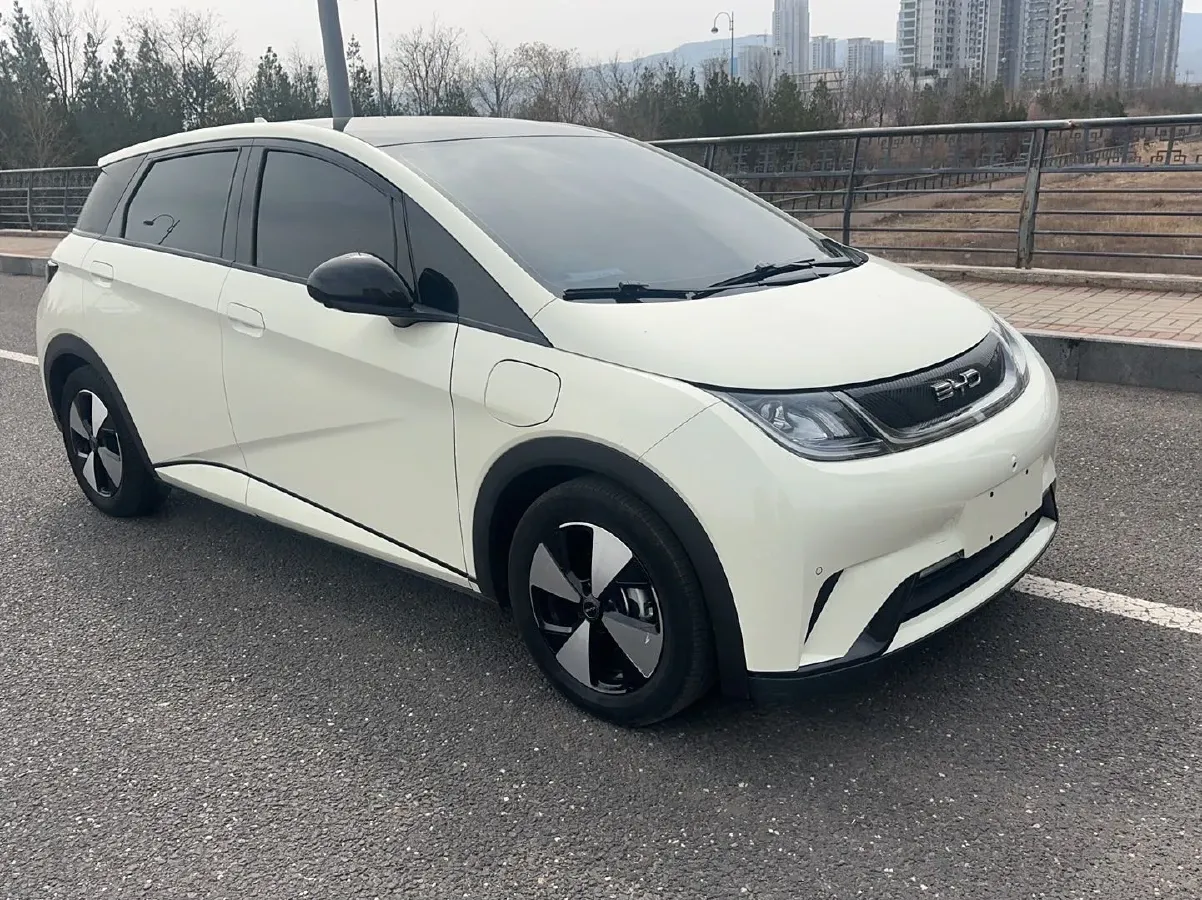 2023 BYD Dolphin BEV 44.928KWH,autocango,china used car exporter,china ev exporter,chinese used car exporter,chinese used ev exporter