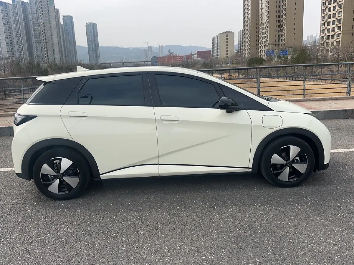 2023 BYD Dolphin BEV 44.928KWH,autocango,china used car exporter,china ev exporter,chinese used car exporter,chinese used ev exporter