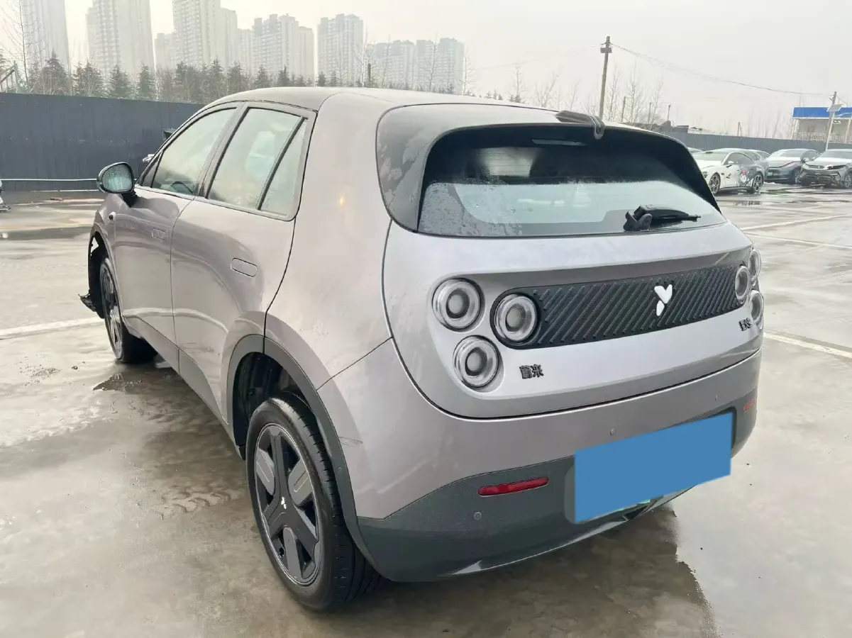 2025 Firefly Firefly BEV,autocango,china used car exporter,china ev exporter,chinese used car exporter,chinese used ev exporter
