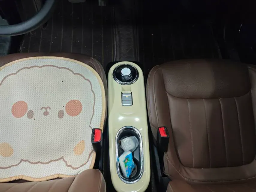 2023 WuLing BinGuo BEV 31.9KWH,autocango,china used car exporter,china ev exporter,chinese used car exporter,chinese used ev exporter