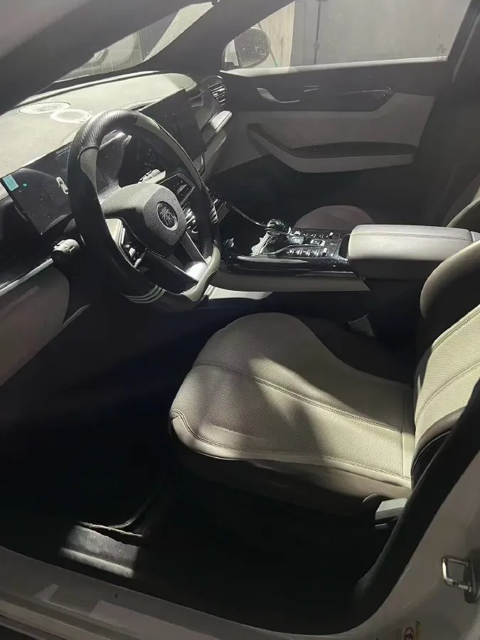 2024 BYD Qin Plus 1.5L 110HP L4 E-CVT PHEV 8.32KWH,autocango,china used car exporter,china ev exporter,chinese used car exporter,chinese used ev exporter