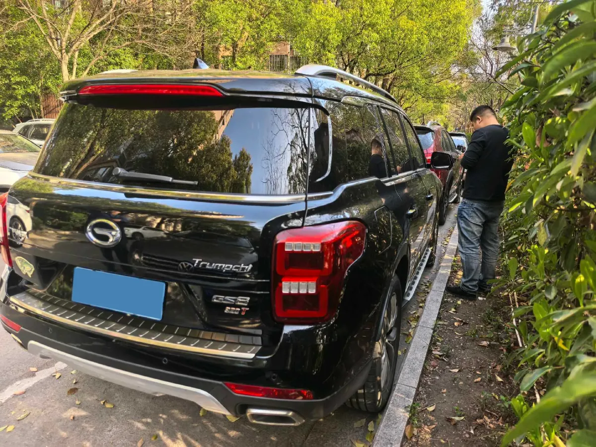 2017 GAC Trumpchi GS8 2.0T 201HP L4 6AT,autocango,china used car exporter,china ev exporter,chinese used car exporter,chinese used ev exporter