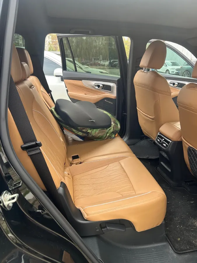 2025 GAC Trumpchi GS8 2.0T 252HP L4 8AT,autocango,china used car exporter,china ev exporter,chinese used car exporter,chinese used ev exporter