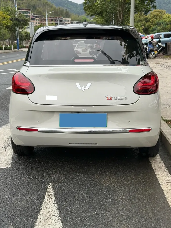 2023 WuLing BinGuo BEV 31.9KWH,autocango,china used car exporter,china ev exporter,chinese used car exporter,chinese used ev exporter
