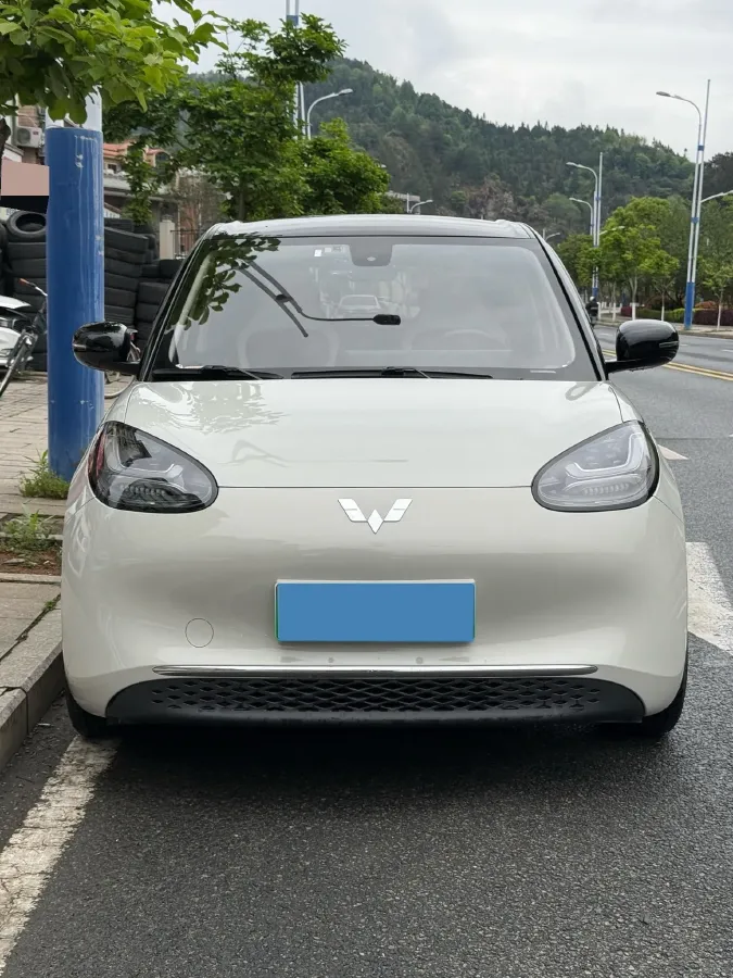 2023 WuLing BinGuo BEV 31.9KWH,autocango,china used car exporter,china ev exporter,chinese used car exporter,chinese used ev exporter