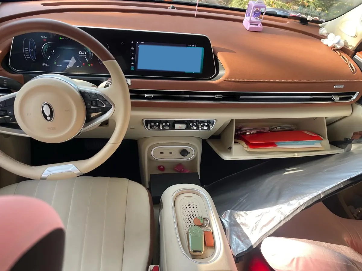 2024 Ora FunkyCat BEV 47.8KWH,autocango,china used car exporter,china ev exporter,chinese used car exporter,chinese used ev exporter