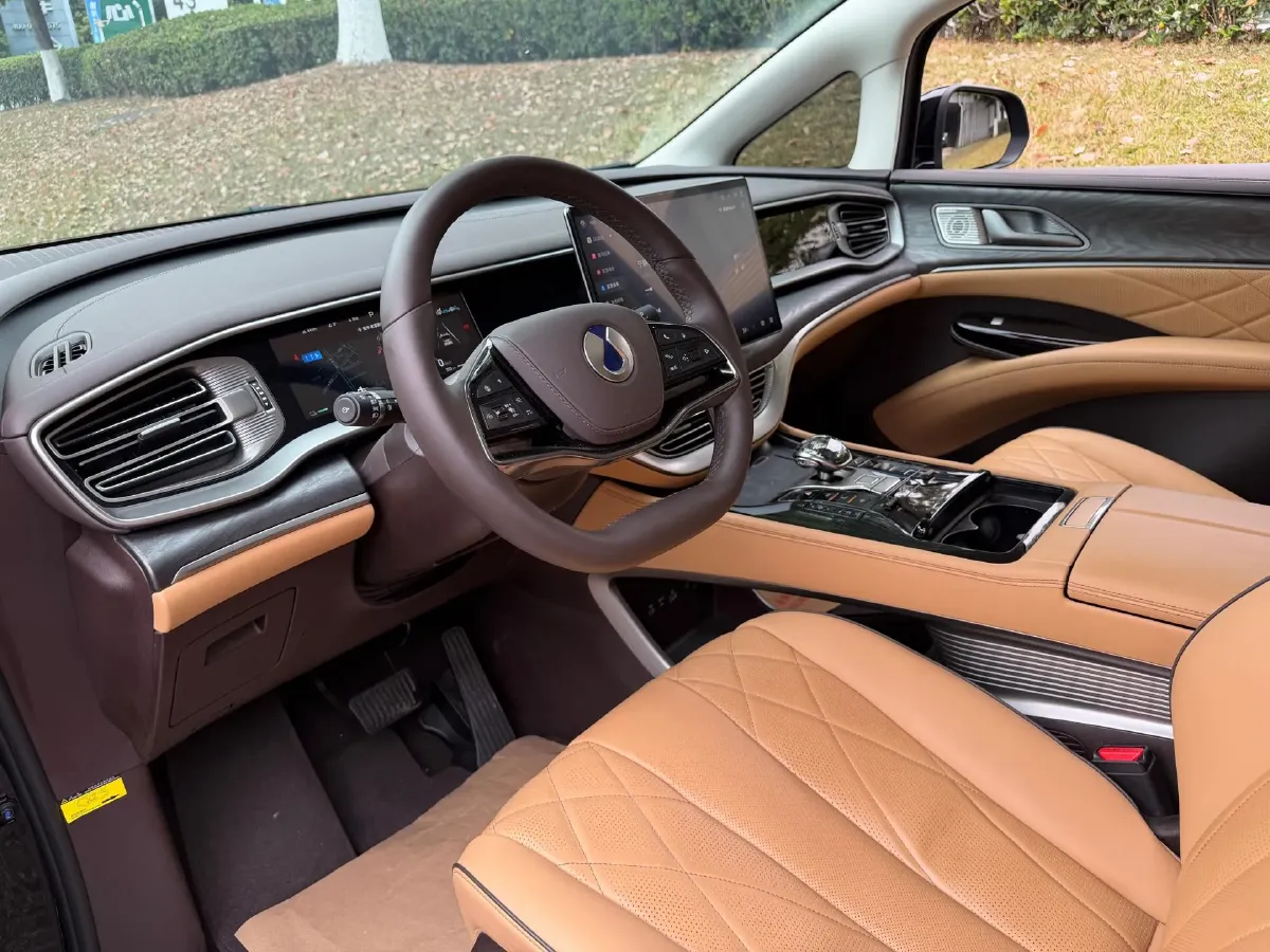 2024 Denza D9 1.5T 139HP L4 E-CVT PHEV 40KWH,autocango,china used car exporter,china ev exporter,chinese used car exporter,chinese used ev exporter