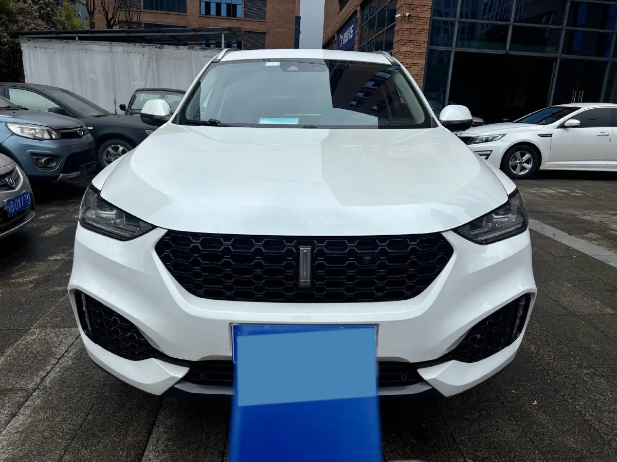 2018 WEY VV6 2.0T 197HP L4 7DCT,autocango,china used car exporter,china ev exporter,chinese used car exporter,chinese used ev exporter